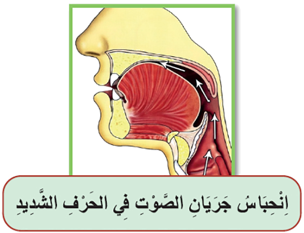 انحباس جريان الصوت في الحرف الشديد