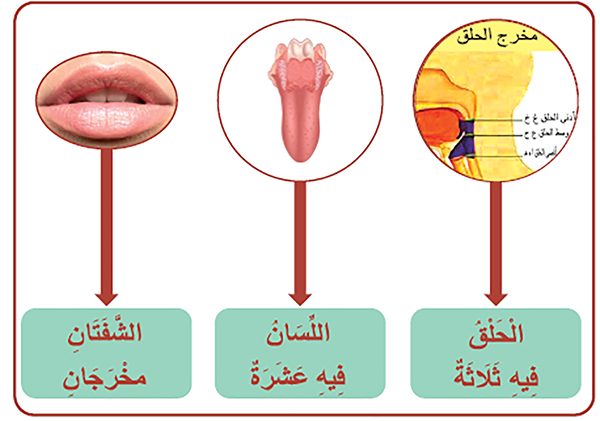 مَخَارِجُ الْحُرُوفِ الْعَامَّة وَمَخَارِجُهَا الْخَاصَّةُ