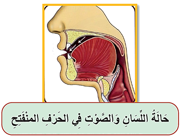 حالة اللسان والصوت في الحرف المنفتح