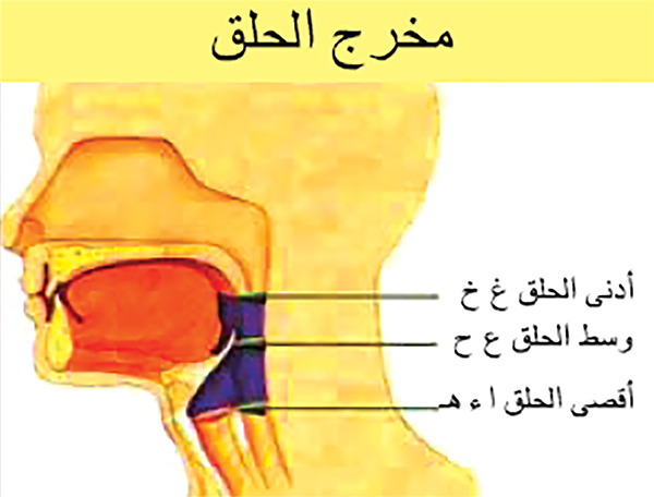 صورة تقريبية لمخارج الحلق