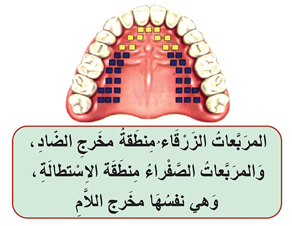 رسم بياني بمخرجي الضاد واللام