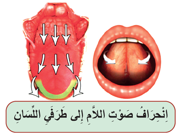 رسم يبين انحراف صوت اللام إلى طرفي اللسان