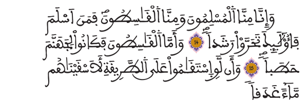 [الجن: 14-16]