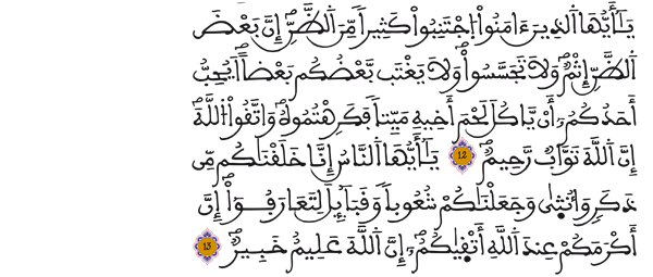 [الحجرات:12-13]