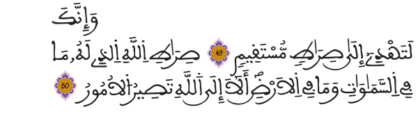 [الشورى:49-50]