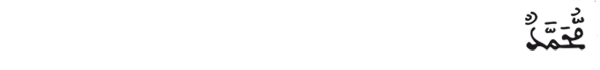 [الفتح:29]