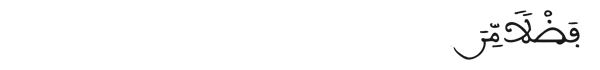 [الفتح:29]