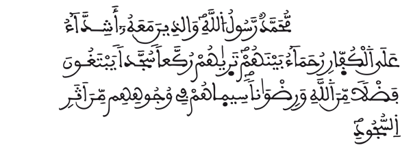 [الفتح:29]