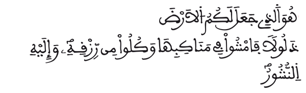  [الملك:16]