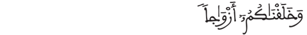 [النبأ:8]