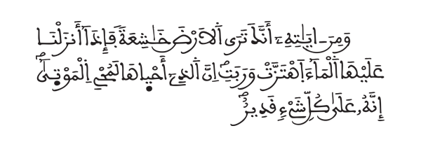 [سورة فصلت الآية: 38]
