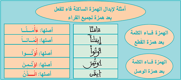 أمثلة لإبدال الهمزة الساكنة فاء للفعل  بعد همزة لجميع القراء