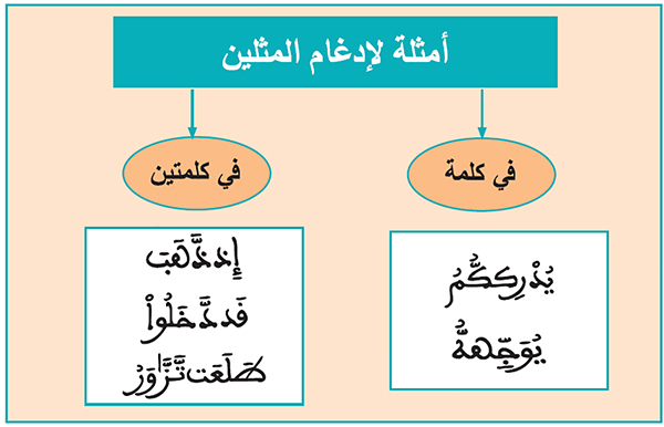 أمثلة لإدغام المثلين