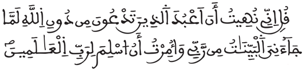  [غافر: 66]