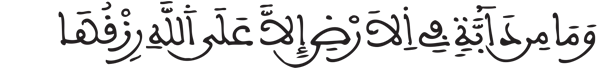 [هود: 6] 