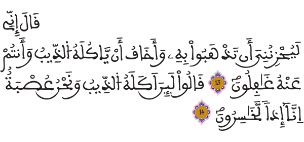 [يوسف: 14-13]