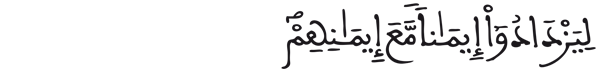   [الفتح: الآية 4]
