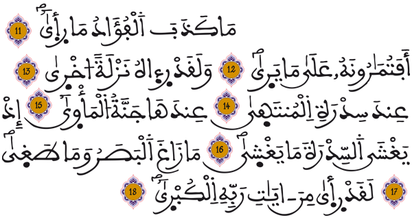  [النجم: 11 - 18]