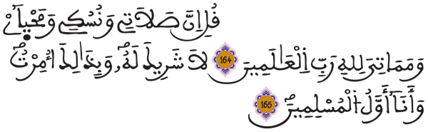 [الأنعام: 165-164]