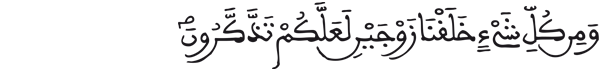  [الذاريات: 49]