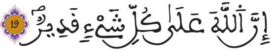  البقرة : 19