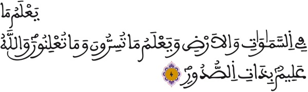 التغابن: 4 التغابن: 4