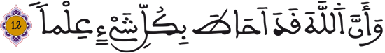 الطلاق: 12