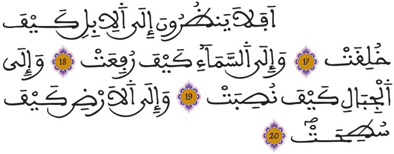 الغاشية 17 20 الغاشية 17 20