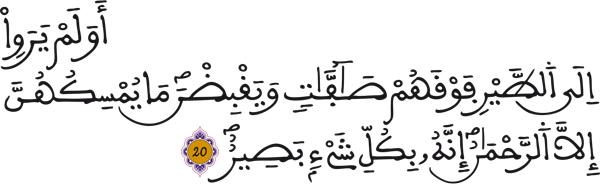 الملك : 20 الملك : 20