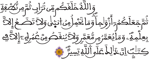 فاطر: 11 فاطر: 11