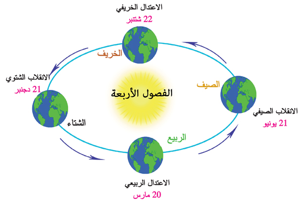 صورة 5