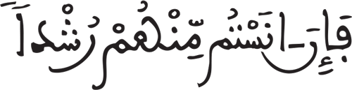 النساء: 6