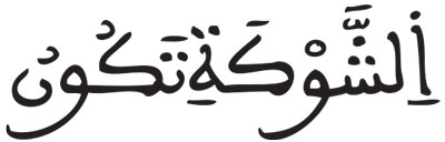 الأنفال 7