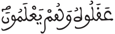 القراءات: هاء الكناية البقرة 74