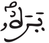الزلزلة 8