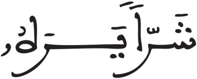 القراءات: هاء الكناية الزلزلة 9