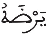القراءات: هاء الكناية الزمر 8 2