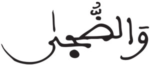 الضحى 01 1 الضحى 01 1