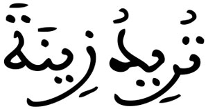 الكهف 28