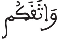 المائدة 8