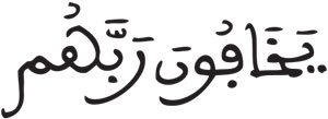 إدغام الحرفين المتقابلين في كلمتين (4) النحل 50