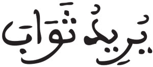 النساء 133