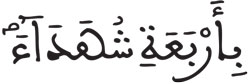 النور 13
