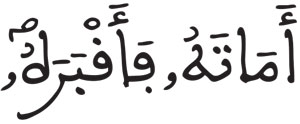 القراءات: هاء الكناية عبس 21