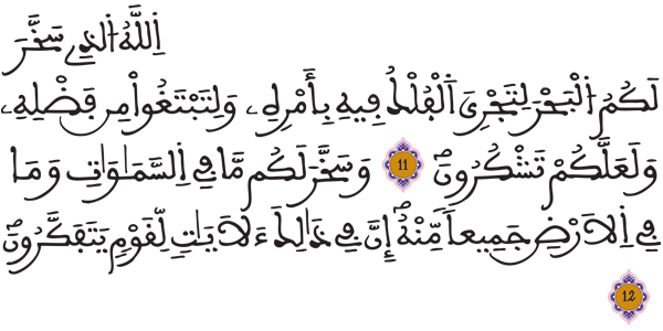 [الجاثية:11-12]