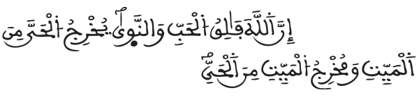 [الأنعام: 96]