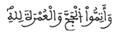 [البقرة: 195]