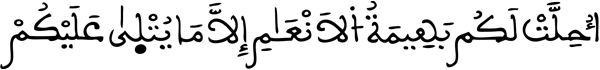[المائدة: 02]