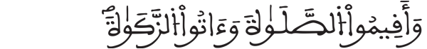 [المزمل: 18] 