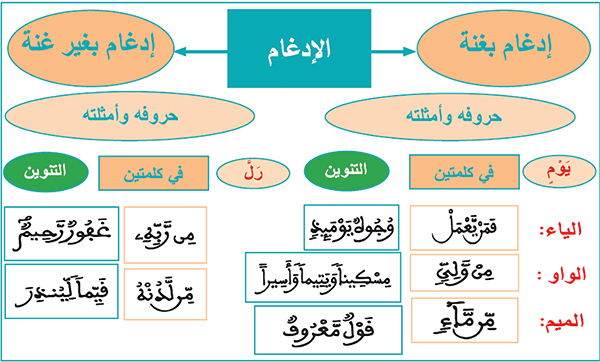 خطاطة لقسمي الإدغام، وأمثلة كل قسم
